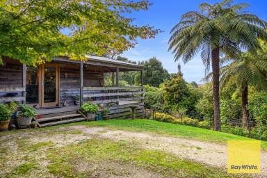 Farm For Sale - VIC - Toora North - 3962 - Picturesque & Private - The perfect getaway  (Image 2)