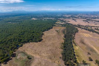 Farm For Sale - VIC - Waldara - 3678 - 'ANDERSON'S' - OVENS RIVER FRONTAGE  (Image 2)