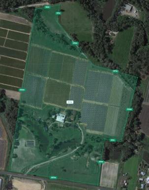 Farm For Sale - QLD - Wamuran - 4512 - Established Strawberry Farm and Ag Tourism Operator - 16HA - Wamuran...  (Image 2)