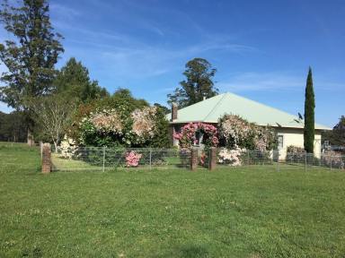 Farm For Sale - NSW - Nowendoc - 2354 - “Emu Tops”   (Image 2)