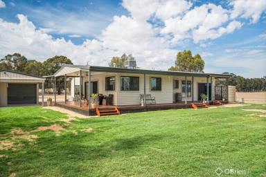 Farm For Sale - VIC - Peechelba - 3678 - Escape to the Country: Fully Renovated Family Home on 70 Acres (approx)  (Image 2)