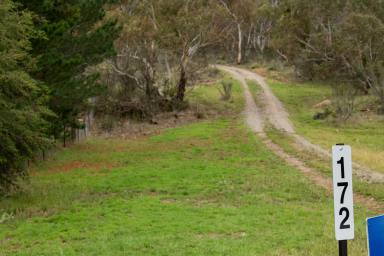Farm Sold - NSW - Cooma - 2630 - 215.5 Acres – New Shed – Excellent Privacy  (Image 2)