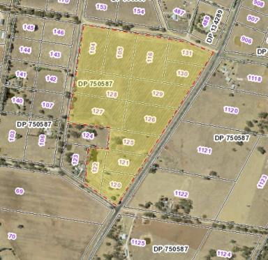 Farm For Sale - NSW - Temora - 2666 - Large Scale Development Opportunity On Edge Of Temora  (Image 2)