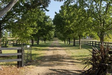 Farm Sold - VIC - Ruffy - 3666 - 'Brooklands' - Peaceful and Picturesque with Provincial Charm  (Image 2)