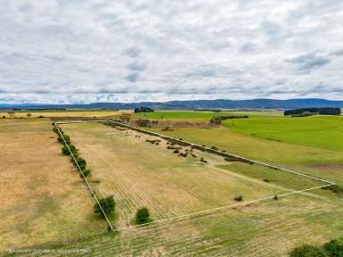 Farm Sold - TAS - Campbell Town - 7210 - Slice Of A Rural Pie  (Image 2)