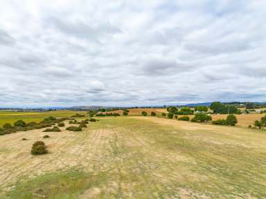 Farm Sold - TAS - Campbell Town - 7210 - Slice Of A Rural Pie  (Image 2)