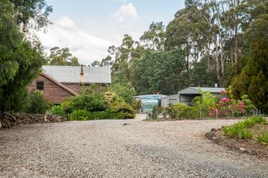 Farm For Sale - TAS - Turners Marsh - 7267 - Bilambil Berry Farm: Productive & Private, Only 15 mins to Town  (Image 2)