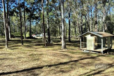 Farm Sold - QLD - Bauple - 4650 - FORESTRY TO THE BACK!  (Image 2)