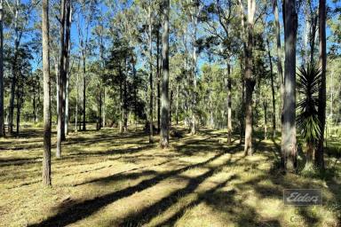 Farm Sold - QLD - Bauple - 4650 - FORESTRY TO THE BACK!  (Image 2)