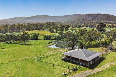 Farm Sold - VIC - Tolmie - 3723 - A High Country Haven  (Image 2)