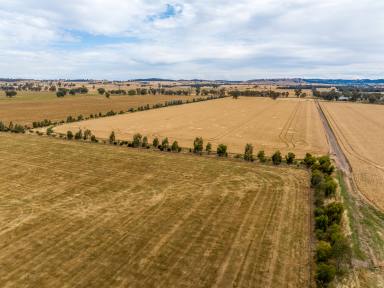 Farm For Sale - NSW - Wagga Wagga - 2650 - 'Avondale' & 'Brunslea'  (Image 2)