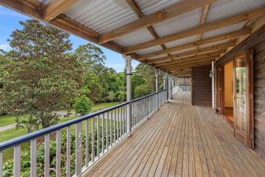 Farm Sold - QLD - Maleny - 4552 - SOLD BY JESS LUTHJE  (Image 2)