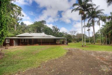 Farm For Sale - QLD - Malanda - 4885 - 11.62 acres at Beautiful Malanda  (Image 2)