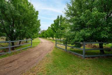 Farm Sold - NSW - Spring Terrace - 2798 - Athelstan Grove  (Image 2)