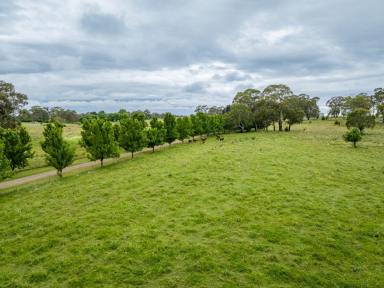 Farm Sold - NSW - Spring Terrace - 2798 - Athelstan Grove  (Image 2)