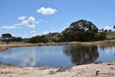 Farm For Sale - NSW - Turondale - 2795 - "MOUNT ROSETTE" - this is what you have been looking for.  (Image 2)