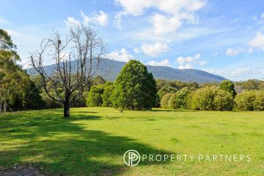 Farm Sold - VIC - East Warburton - 3799 - OVER 26 ACRES app. OF BEAUTIFUL PASTURE AND POTENTIAL  (Image 2)