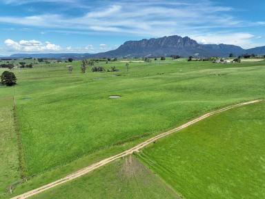 Farm For Sale - TAS - West Kentish - 7306 - Rural Acreage - 85.4 Hectares, Two Homes, Three titles  (Image 2)