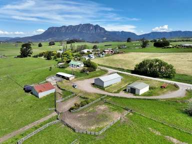 Farm For Sale - TAS - West Kentish - 7306 - Rural Acreage - 85.4 Hectares, Two Homes, Three titles  (Image 2)