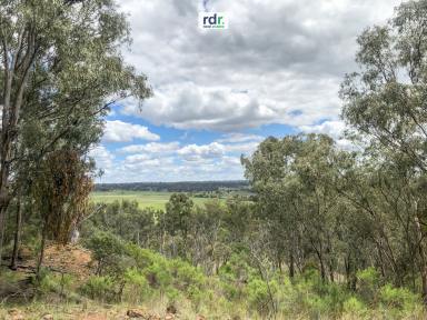 Farm For Sale - NSW - Inverell - 2360 - AMAZING VIEWS & ABSOLUTE PRIVACY  (Image 2)