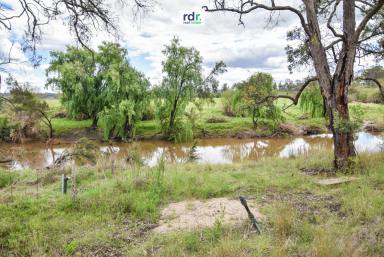Farm For Sale - NSW - Inverell - 2360 - AMAZING VIEWS & ABSOLUTE PRIVACY  (Image 2)