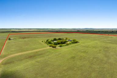 Farm Sold - QLD - Clifton - 4361 - UNCONDITIONAL-
"Stormy Rocks" presents a highly sought after rural lifestyle opportunity set in the heart of the Darling Downs.  (Image 2)