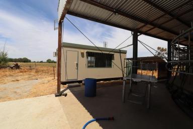 Farm Sold - VIC - Horfield - 3567 - Large Scale Dairy Farm  (Image 2)