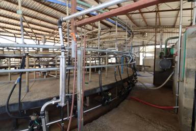 Farm Sold - VIC - Horfield - 3567 - Large Scale Dairy Farm  (Image 2)