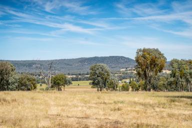 Farm Sold - VIC - Chiltern - 3683 - This idyllic location presents an enviable opportunity in North East Victoria.  (Image 2)