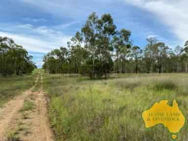 Farm For Sale - QLD - Proston - 4613 - Home for both Livestock & Nature Enthusiasts on the doorstep of "The Weir"  (Image 2)