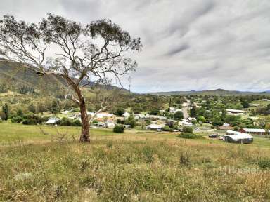 Farm Sold - VIC - Omeo - 3898 - OVERLOOKING OMEO  (Image 2)