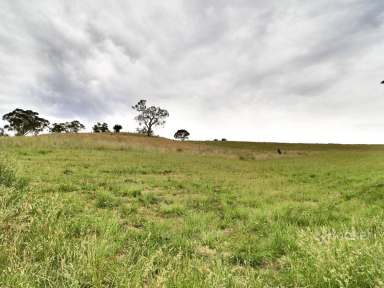 Farm Sold - VIC - Omeo - 3898 - OVERLOOKING OMEO  (Image 2)