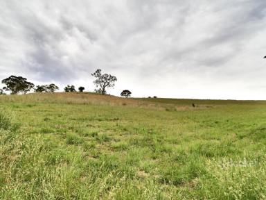 Farm For Sale - VIC - Omeo - 3898 - OVERLOOKING OMEO  (Image 2)