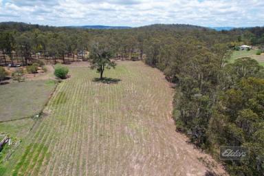 Farm Sold - QLD - Curra - 4570 - COUNTY LIFESTYLE CALLING  (Image 2)