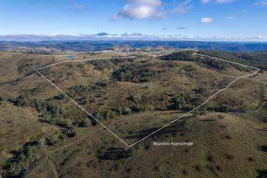 Farm Sold - NSW - Taralga - 2580 - "MOTIVATED VENDOR, MUST SELL"
For the homesteading, hunting or fishing enthusiast.  (Image 2)