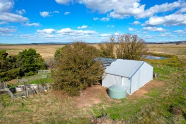 Farm For Sale - NSW - Goulburn - 2580 - Rare Find!  (Image 2)