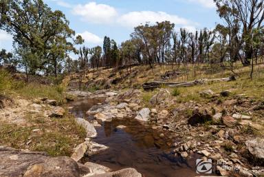 Farm Sold - NSW - Mudgee - 2850 - CALL OF THE BUSH!  (Image 2)