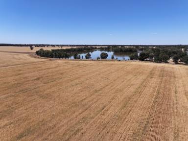 Farm For Sale - NSW - Ariah Park - 2665 - Highly Productive Property For Sale In Tightly Held District.  (Image 2)