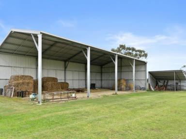 Farm For Sale - NSW - Quipolly - 2343 - 40ha PRODUCTION POWERHOUSE with 20ML water licence!  (Image 2)