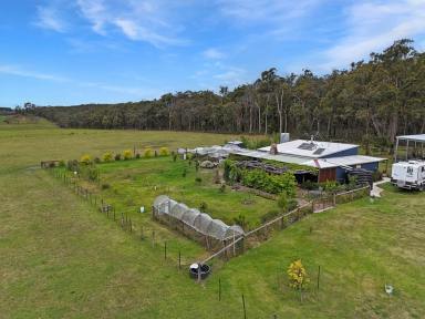 Farm Sold - VIC - Condah - 3303 - This is no ordinary weekender!  64.35 Ac - 26.04 Ha approx.  (Image 2)