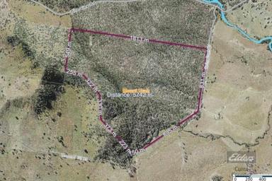 Farm For Sale - QLD - Munna Creek - 4570 - UNIQUE OPPORTUNITY!  (Image 2)