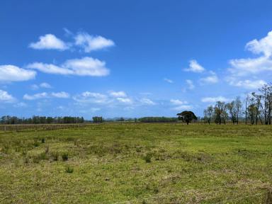 Farm For Sale - NSW - Bora Ridge - 2471 - MIXED FARMING OPPORTUNITY - 289 ACRES (117hA)  (Image 2)