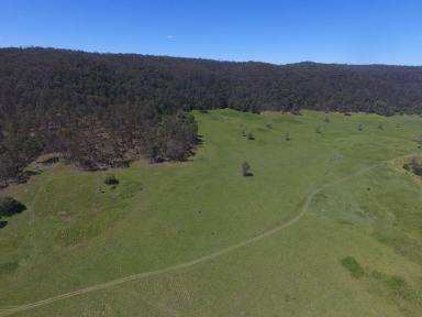 Farm For Sale - NSW - Mongogarie - 2470 - MIXED FARMING - MULTIPLE INCOME STREAMS  (Image 2)