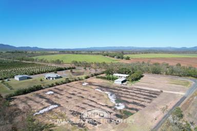 Farm Sold - QLD - Mareeba - 4880 - CAIRNS SIDE ACREAGE LIVING  (Image 2)