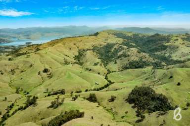 Farm Sold - NSW - Singleton - 2330 - "MIDDLE FALL" | HIGH QUALITY GRAZING COUNTRY | 777 ACRES  (Image 2)