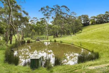 Farm Sold - VIC - Moe - 3825 - Live Amongst the Birds & the Trees  (Image 2)