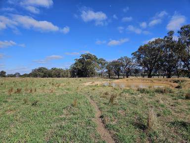 Farm Sold - NSW - Mudgee - 2850 - Rural Lifestyle with Productive Land  (Image 2)