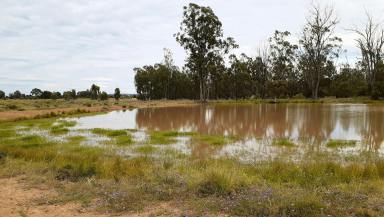 Farm For Sale - QLD - Darr Creek - 4410 - Noted Fattening and Backgrounding Country  (Image 2)