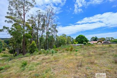 Farm Sold - TAS - Penguin - 7316 - YOUR CANVAS, YOUR DREAM: BUILD YOUR OASIS ON THIS EXPANSIVE RURAL LIVING BLOCK IN PENGUIN  (Image 2)
