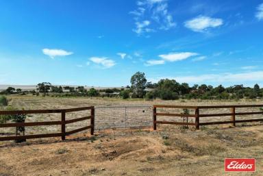 Farm For Sale - SA - Stockport - 5410 - Under Contract  (Image 2)